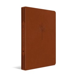 Bíblia Slim Filament | NVT | Letra Grande | Capa Couro Sintético Marrom